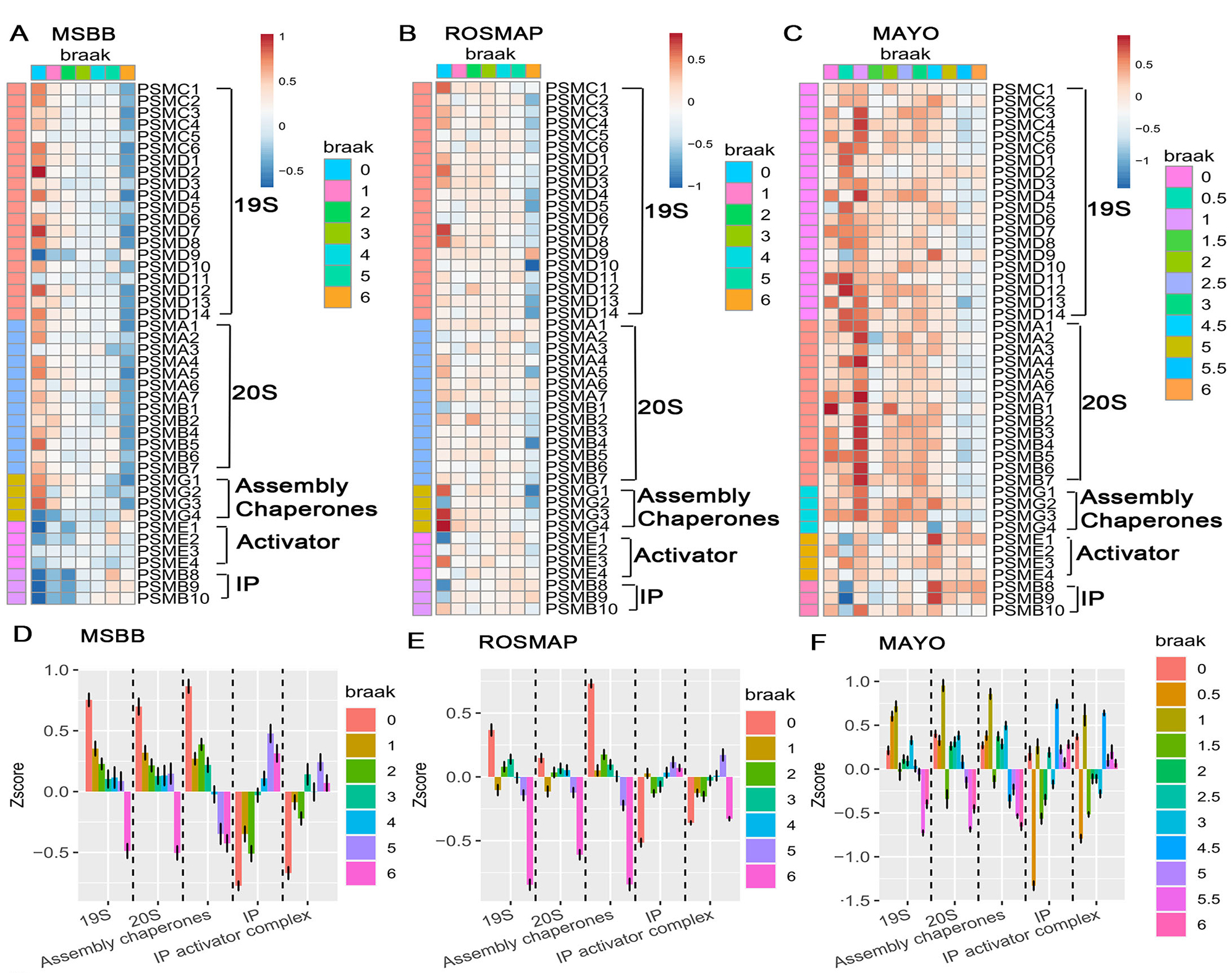 Figure 4. Progressive downregulation of constitutive proteasome subunits and differential responses of immunoproteasome across multiple AD cohorts.